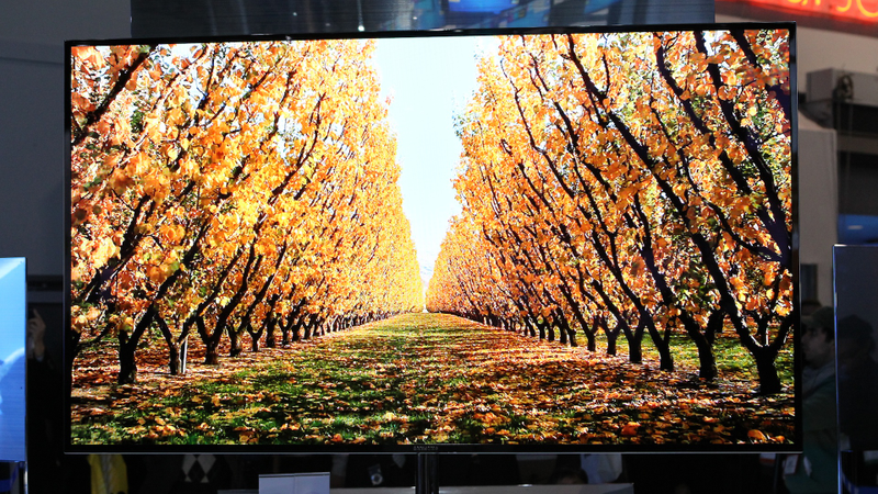 Illustration for article titled My Eyes Orgasmed When I Saw the Samsung Super OLED TV